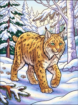 Finished example of the Color by Number page: Snow Lynx