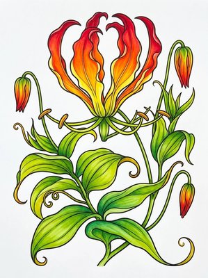 Finished example of the Color by Number page: Flame Lily
