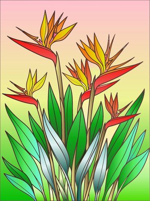Finished example of the Color by Number page: Bird Paradise
