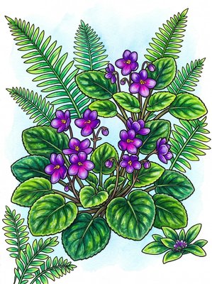 Finished example of the Color by Number page: African Violet