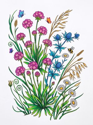 Finished example of the Color by Number page: Coastal Wildflowers