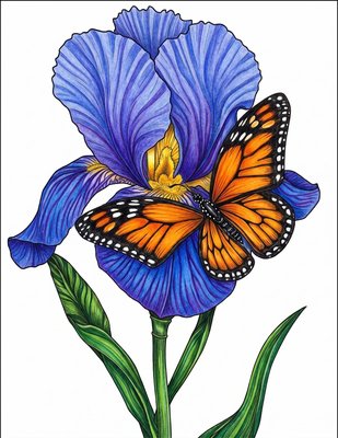 Finished example of the Color by Number page: Butterfly and Iris Bloom